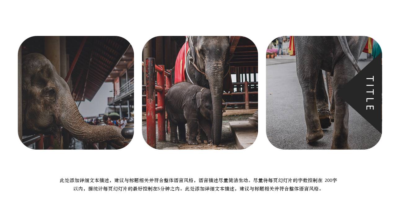 旅游画册 (44).pptx
